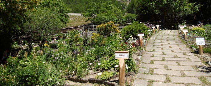 Giardinobotanico_PNS